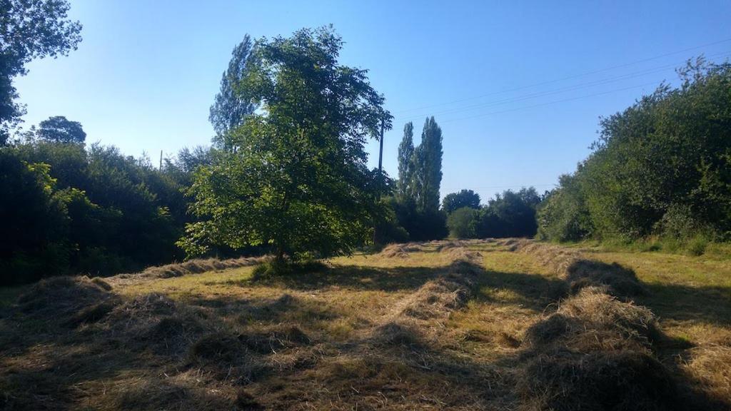 L'Angeberdiere Saint-Mars-sur-la-Futaie Exterior foto