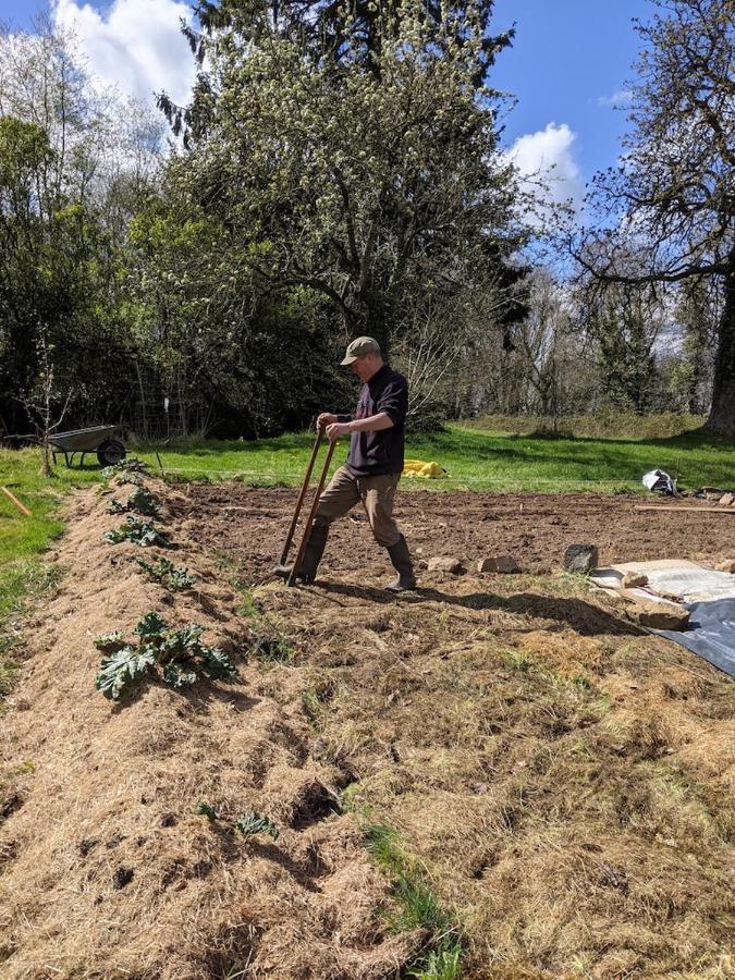 L'Angeberdiere Saint-Mars-sur-la-Futaie Exterior foto